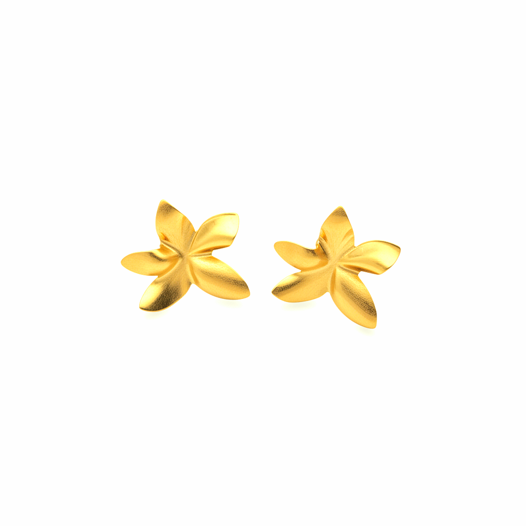 Br Bd Estrela Mar A27 X L25 X E0.36 Mm