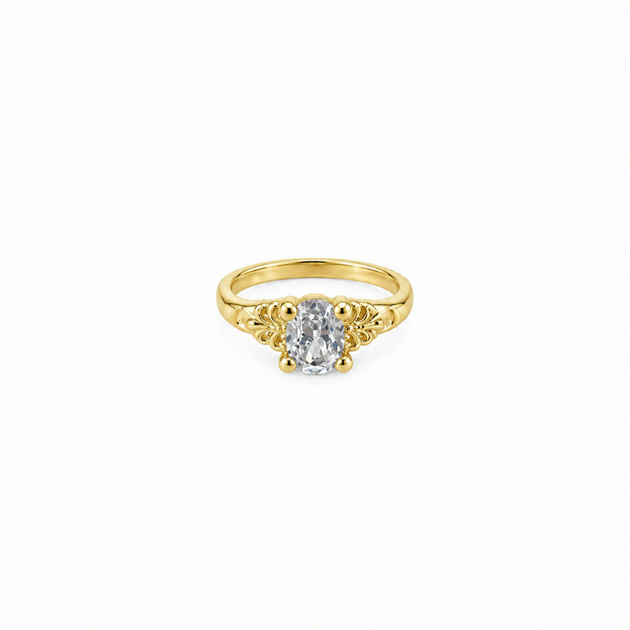 An Bd 11 Branco 4 Garras