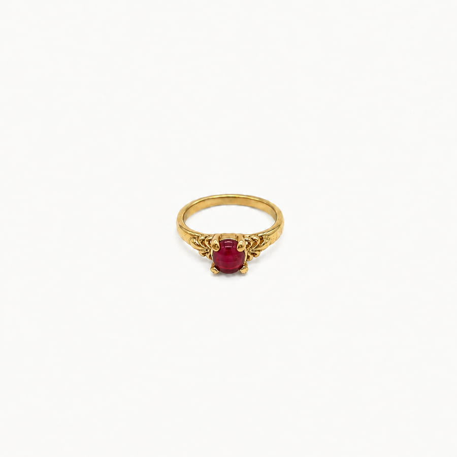 An Bd 13 Vermelho 4 Garras